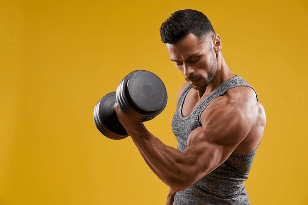 How to Build Muscle Effectively